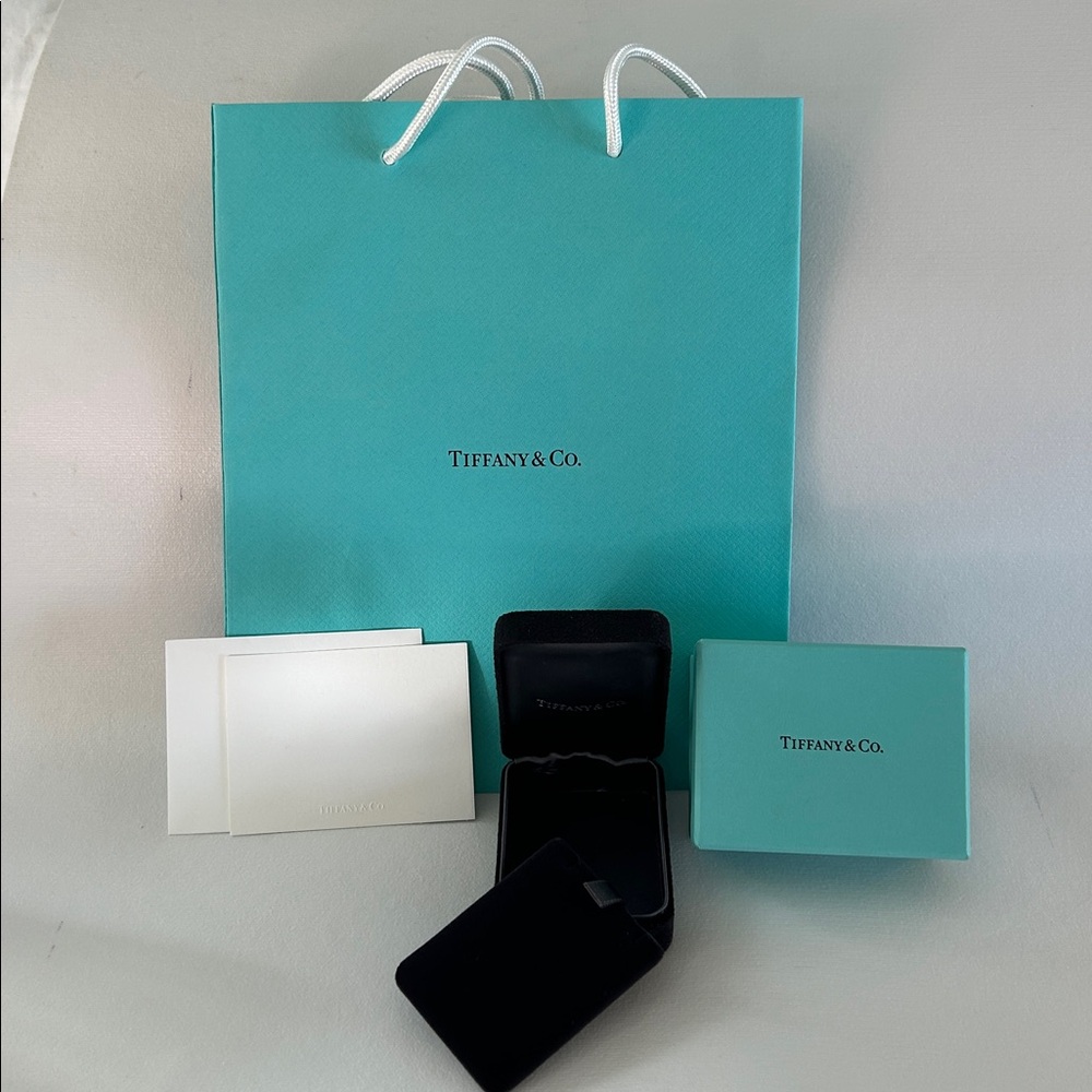 Tiffany & Co. Turquoise Bag with Case, Box, and Card